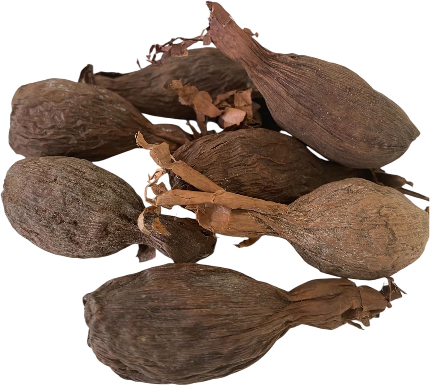 Maniguette entière, Gousse de piment de Guinée, (graines de paradis) piment alligator ou poivre alligator