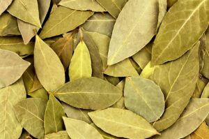 Rituel d'amour avec feuille de laurier